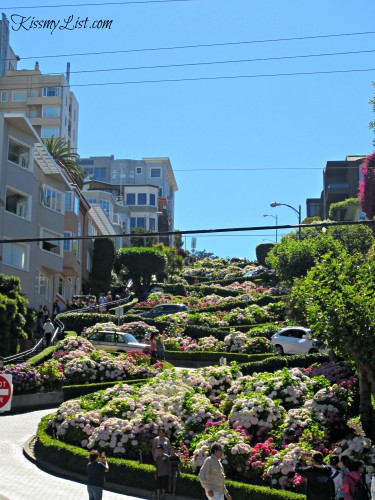 Lombard Street - actually not the curviest street in SF, but definitely one of the prettiest.