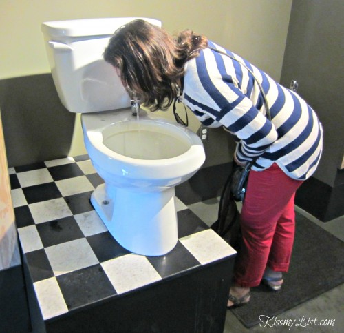 One of the fun exhibits - both the water fountain (behind me) and the toilet release clean water to drink, but can you get past drinking out of the loo?